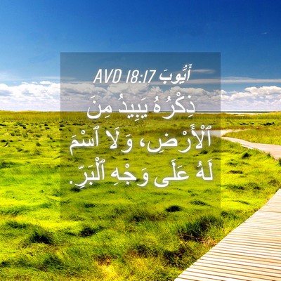 Picture 04 - أَيُّوبَ 18:17 AVD - ذِكْرُهُ يَبِيدُ مِنَ - Bible Verse Picture