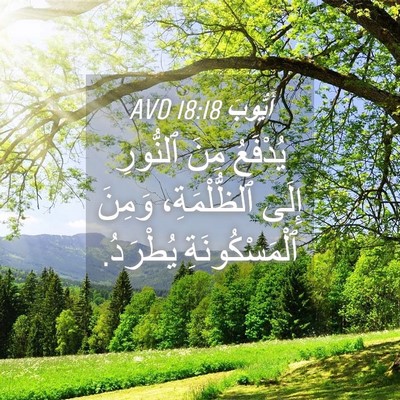 Picture 04 - أَيُّوبَ 18:18 AVD - يُدْفَعُ مِنَ ٱلنُّورِ - Bible Verse Picture