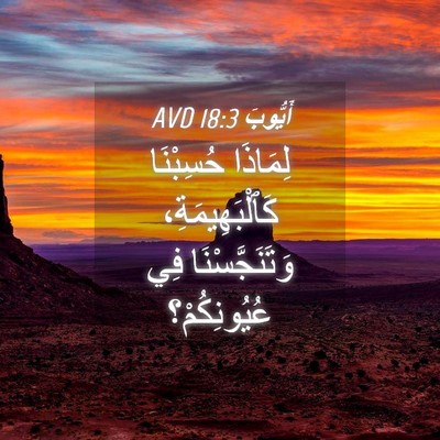 Picture 04 - أَيُّوبَ 18:3 AVD - لِمَاذَا حُسِبْنَا - Bible Verse Picture