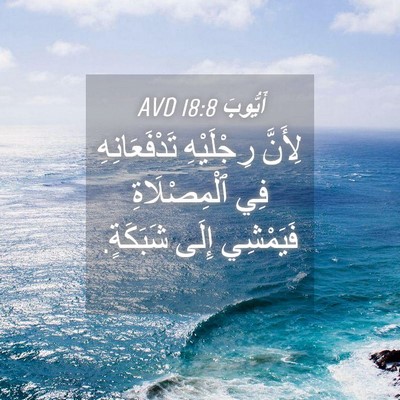 Picture 04 - أَيُّوبَ 18:8 AVD - لِأَنَّ رِجْلَيْهِ - Bible Verse Picture