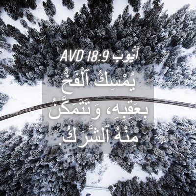 Picture 04 - أَيُّوبَ 18:9 AVD - يُمْسِكُ ٱلْفَخُّ - Bible Verse Picture