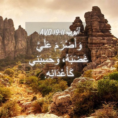 Picture 04 - أَيُّوبَ 19:11 AVD - وَأَضْرَمَ عَلَيَّ - Bible Verse Picture