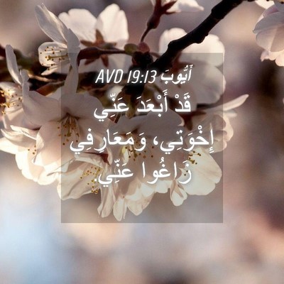 Picture 04 - أَيُّوبَ 19:13 AVD - قَدْ أَبْعَدَ عَنِّي - Bible Verse Picture