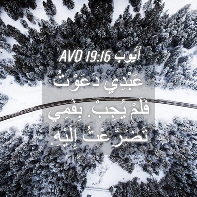 Picture 04 - أَيُّوبَ 19:16 AVD - عَبْدِي دَعَوْتُ فَلَمْ - Bible Verse Picture