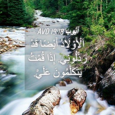 Picture 04 - أَيُّوبَ 19:18 AVD - اَلْأَوْلَادُ أَيْضًا - Bible Verse Picture