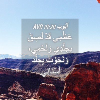 Picture 04 - أَيُّوبَ 19:20 AVD - عَظْمِي قَدْ لَصِقَ - Bible Verse Picture