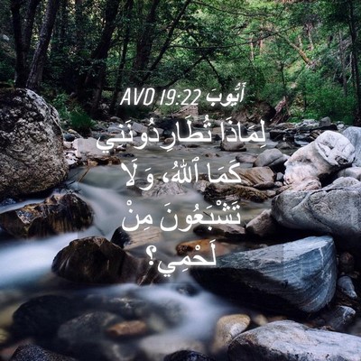 Picture 04 - أَيُّوبَ 19:22 AVD - لِمَاذَا تُطَارِدُونَنِي - Bible Verse Picture