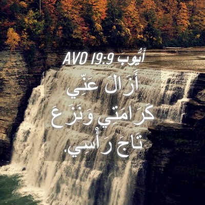 Picture 04 - أَيُّوبَ 19:9 AVD - أَزَالَ عَنِّي كَرَامَتِي - Bible Verse Picture