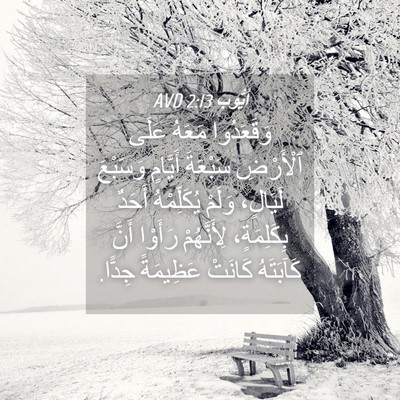 Picture 04 - أَيُّوبَ 2:13 AVD - وَقَعَدُوا مَعَهُ عَلَى - Bible Verse Picture