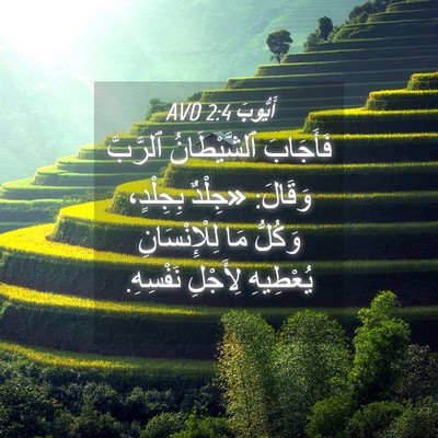 Picture 04 - أَيُّوبَ 2:4 AVD - فَأَجَابَ ٱلشَّيْطَانُ - Bible Verse Picture