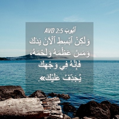 Picture 04 - أَيُّوبَ 2:5 AVD - وَلَكِنْ ٱبْسِطِ ٱلْآنَ - Bible Verse Picture