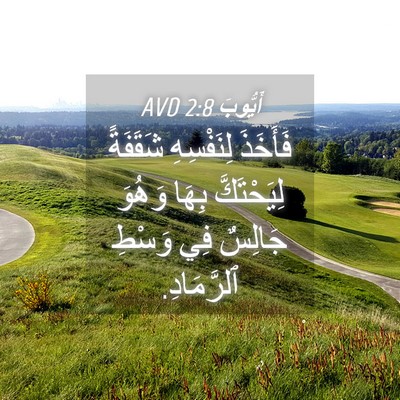 Picture 04 - أَيُّوبَ 2:8 AVD - فَأَخَذَ لِنَفْسِهِ - Bible Verse Picture
