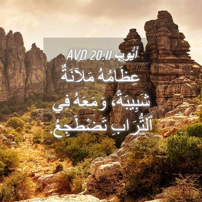 Picture 04 - أَيُّوبَ 20:11 AVD - عِظَامُهُ مَلآنَةٌ - Bible Verse Picture