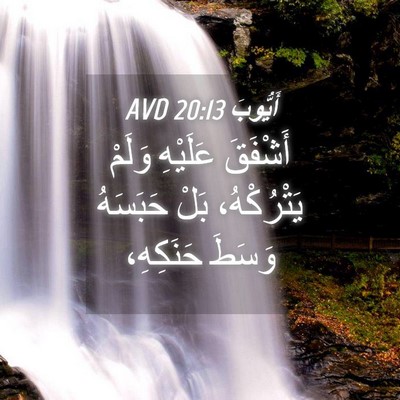 Picture 04 - أَيُّوبَ 20:13 AVD - أَشْفَقَ عَلَيْهِ وَلَمْ - Bible Verse Picture