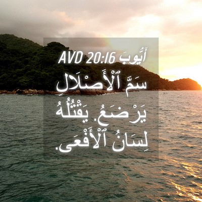 Picture 04 - أَيُّوبَ 20:16 AVD - سَمَّ ٱلْأَصْلَالِ - Bible Verse Picture