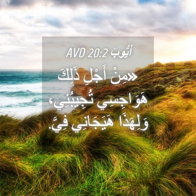 Picture 04 - أَيُّوبَ 20:2 AVD - «مِنْ أَجْلِ ذَلِكَ - Bible Verse Picture