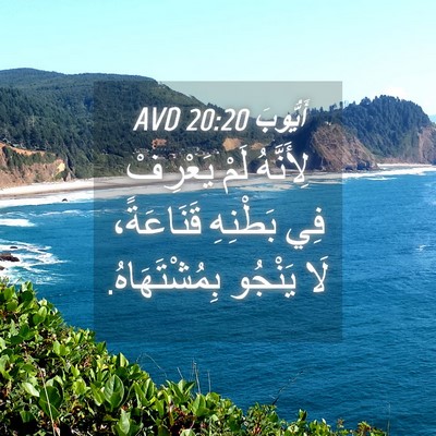 Picture 04 - أَيُّوبَ 20:20 AVD - لِأَنَّهُ لَمْ يَعْرِفْ - Bible Verse Picture