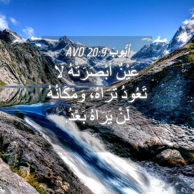 Picture 04 - أَيُّوبَ 20:9 AVD - عَيْنٌ أَبْصَرَتْهُ لَا - Bible Verse Picture