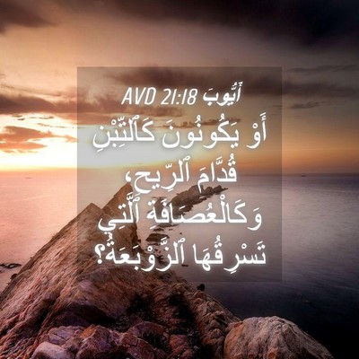 Picture 04 - أَيُّوبَ 21:18 AVD - أَوْ يَكُونُونَ - Bible Verse Picture