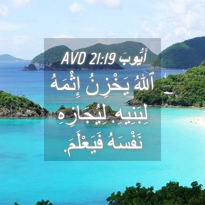 Picture 04 - أَيُّوبَ 21:19 AVD - ٱللهُ يَخْزِنُ إِثْمَهُ - Bible Verse Picture
