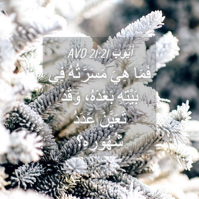 Picture 04 - أَيُّوبَ 21:21 AVD - فَمَا هِيَ مَسَرَّتُهُ فِي - Bible Verse Picture