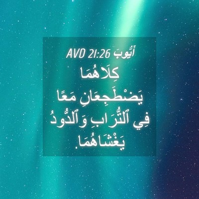 Picture 04 - أَيُّوبَ 21:26 AVD - كِلَاهُمَا يَضْطَجِعَانِ - Bible Verse Picture