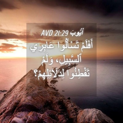 Picture 04 - أَيُّوبَ 21:29 AVD - أَفَلَمْ تَسْأَلُوا - Bible Verse Picture