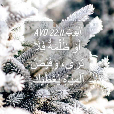 Picture 04 - أَيُّوبَ 22:11 AVD - أَوْ ظُلْمَةٌ فَلَا تَرَى، - Bible Verse Picture