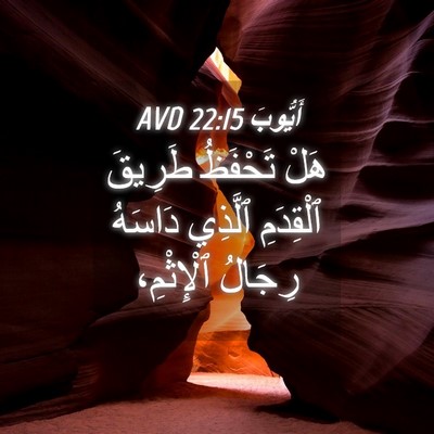 Picture 04 - أَيُّوبَ 22:15 AVD - هَلْ تَحْفَظُ طَرِيقَ - Bible Verse Picture