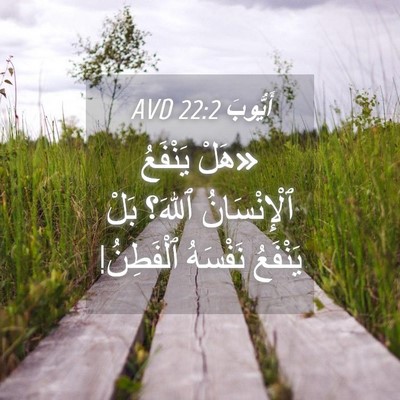Picture 04 - أَيُّوبَ 22:2 AVD - «هَلْ يَنْفَعُ - Bible Verse Picture