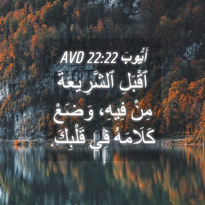 Picture 04 - أَيُّوبَ 22:22 AVD - ٱقْبَلِ ٱلشَّرِيعَةَ مِنْ - Bible Verse Picture