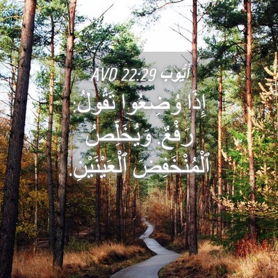 Picture 04 - أَيُّوبَ 22:29 AVD - إِذَا وُضِعُوا تَقُولُ: - Bible Verse Picture