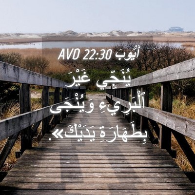 Picture 04 - أَيُّوبَ 22:30 AVD - يُنَجِّي غَيْرَ - Bible Verse Picture