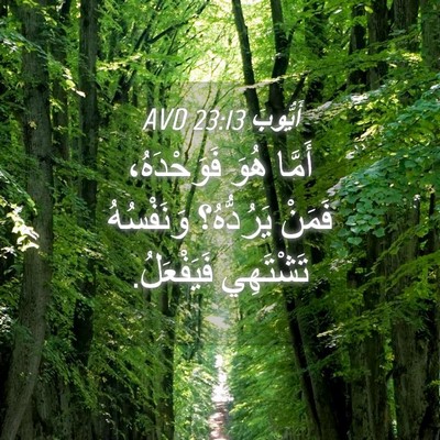 Picture 04 - أَيُّوبَ 23:13 AVD - أَمَّا هُوَ فَوَحْدَهُ، - Bible Verse Picture