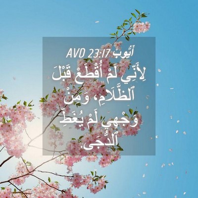 Picture 04 - أَيُّوبَ 23:17 AVD - لِأَنِّي لَمْ أُقْطَعْ - Bible Verse Picture