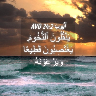 Picture 04 - أَيُّوبَ 24:2 AVD - يَنْقُلُونَ ٱلتُّخُومَ. - Bible Verse Picture