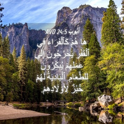 Picture 04 - أَيُّوبَ 24:5 AVD - هَا هُمْ كَٱلْفَرَاءِ فِي - Bible Verse Picture