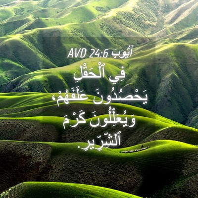 Picture 04 - أَيُّوبَ 24:6 AVD - فِي ٱلْحَقْلِ يَحْصُدُونَ - Bible Verse Picture