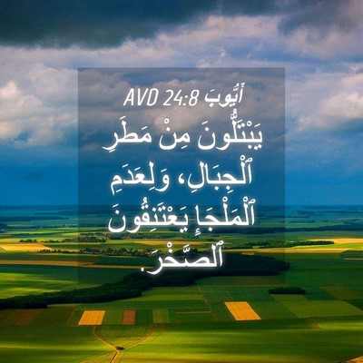 Picture 04 - أَيُّوبَ 24:8 AVD - يَبْتَلُّونَ مِنْ مَطَرِ - Bible Verse Picture
