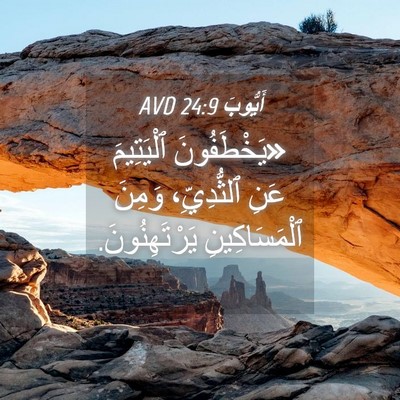 Picture 04 - أَيُّوبَ 24:9 AVD - «يَخْطَفُونَ ٱلْيَتِيمَ - Bible Verse Picture