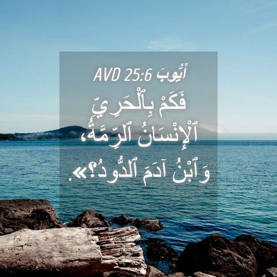 Picture 04 - أَيُّوبَ 25:6 AVD - فَكَمْ بِٱلْحَرِيِّ - Bible Verse Picture