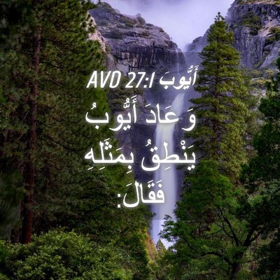 Picture 04 - أَيُّوبَ 27:1 AVD - وَعَادَ أَيُّوبُ يَنْطِقُ - Bible Verse Picture