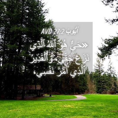 Picture 04 - أَيُّوبَ 27:2 AVD - «حَيٌّ هُوَ ٱللهُ ٱلَّذِي - Bible Verse Picture