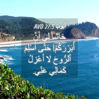 Picture 04 - أَيُّوبَ 27:5 AVD - حَاشَا لِي أَنْ - Bible Verse Picture