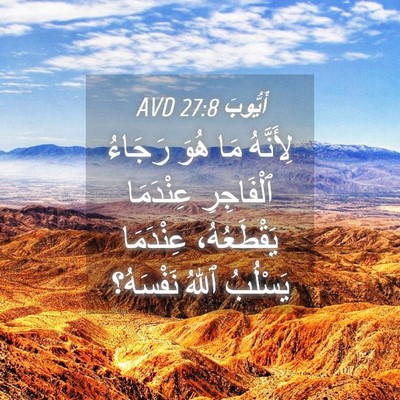 Picture 04 - أَيُّوبَ 27:8 AVD - لِأَنَّهُ مَا هُوَ رَجَاءُ - Bible Verse Picture