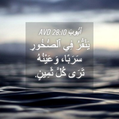 Picture 04 - أَيُّوبَ 28:10 AVD - يَنْقُرُ فِي ٱلصُّخُورِ - Bible Verse Picture
