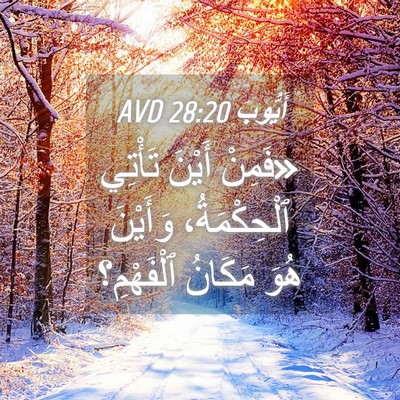 Picture 04 - أَيُّوبَ 28:20 AVD - «فَمِنْ أَيْنَ تَأْتِي - Bible Verse Picture