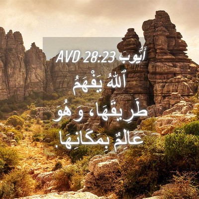 Picture 04 - أَيُّوبَ 28:23 AVD - ٱللهُ يَفْهَمُ - Bible Verse Picture