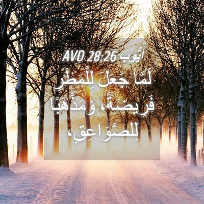Picture 04 - أَيُّوبَ 28:26 AVD - لَمَّا جَعَلَ لِلْمَطَرِ - Bible Verse Picture