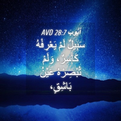 Picture 04 - أَيُّوبَ 28:7 AVD - سَبِيلٌ لَمْ يَعْرِفْهُ - Bible Verse Picture